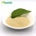 Foliar organic fertilizer Natural stimulants Soybean source total amino acid 80% yellowish powder amino acid fertilizer